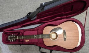 ドレッドノートジュニアの専用ケースに困っている人に吉報！！