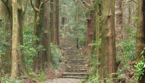 kumano
